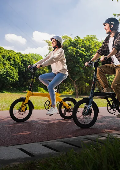 Morfuns electric bike supply chain services